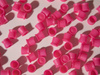 SILICONE PIGMENT CUPS WITH STAND (300 PCS.)